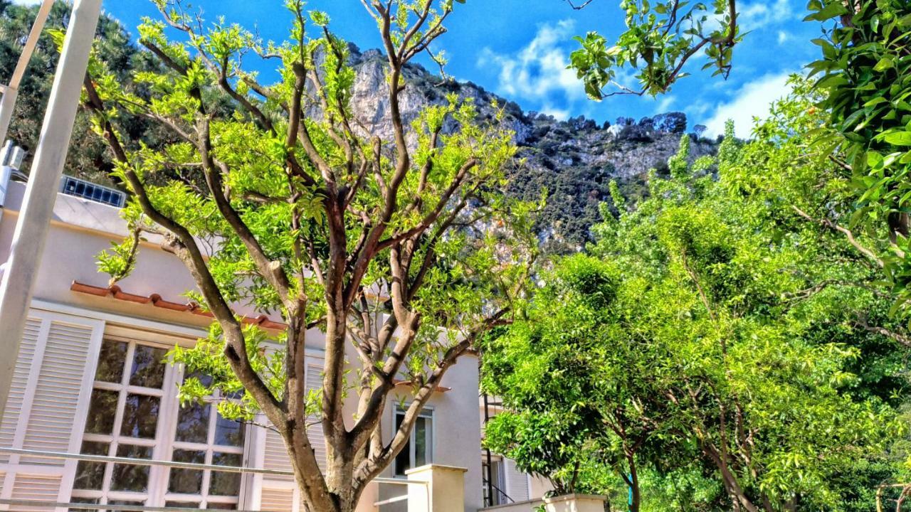 Don Raffae Hotel Capri Eksteriør billede