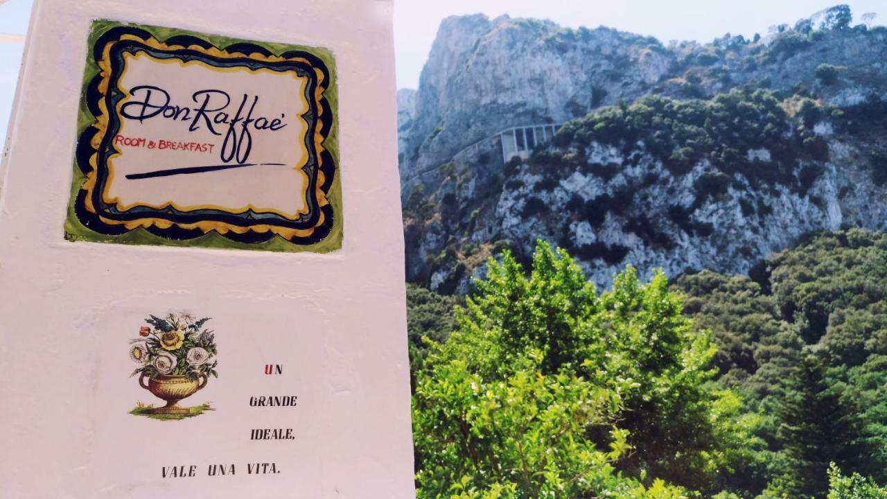 Don Raffae Hotel Capri Eksteriør billede